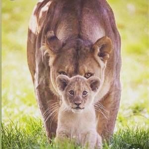 Meet your Posher, Toni